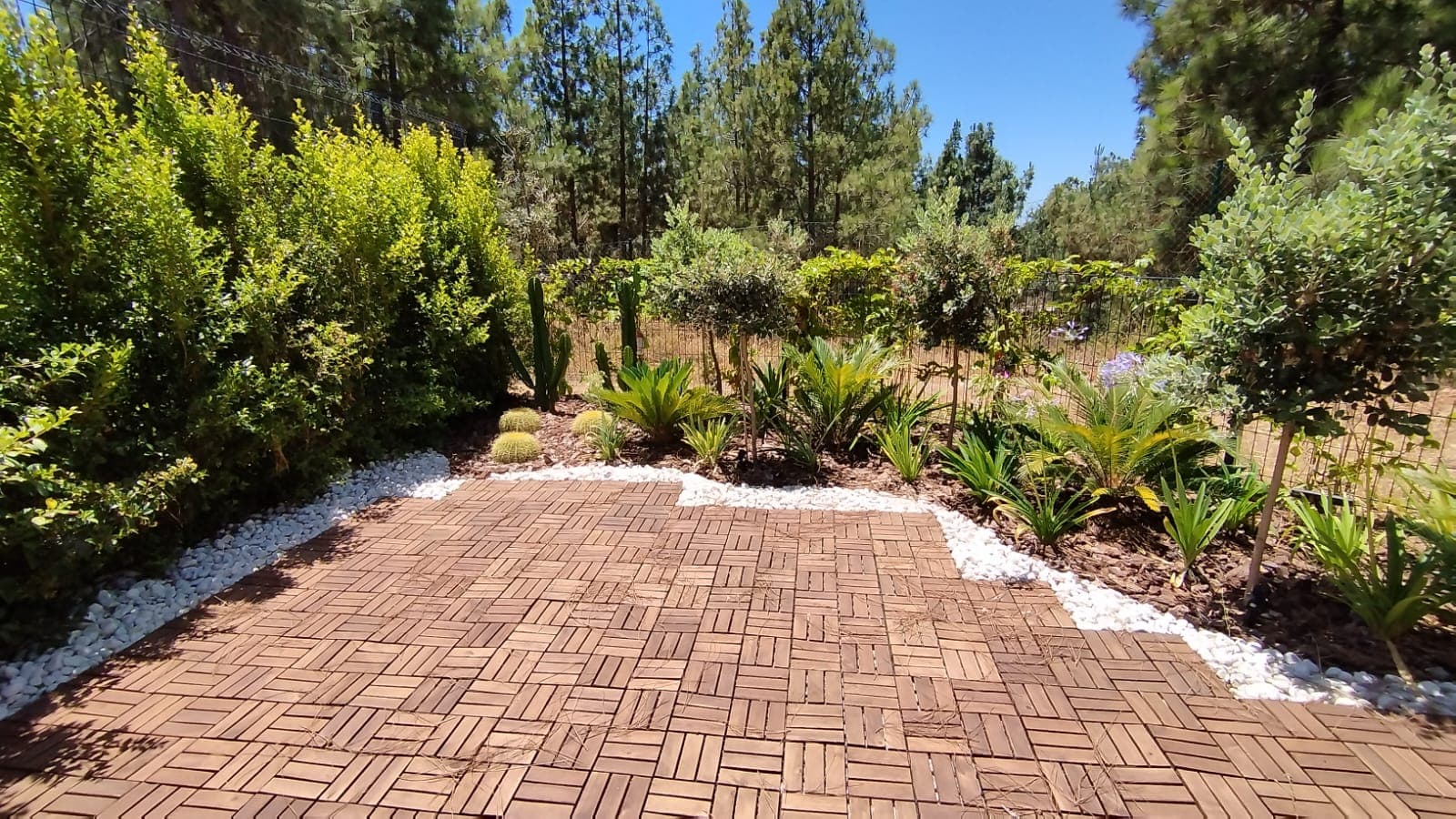 Rewitalizacja tarasu / ogrodu 2