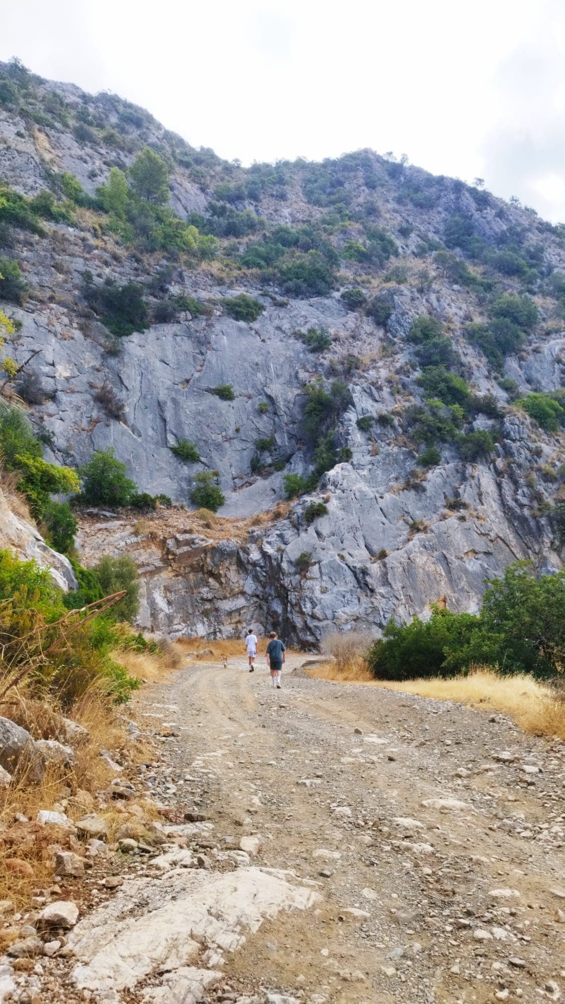 Panorama gór Sierra de las Nieves